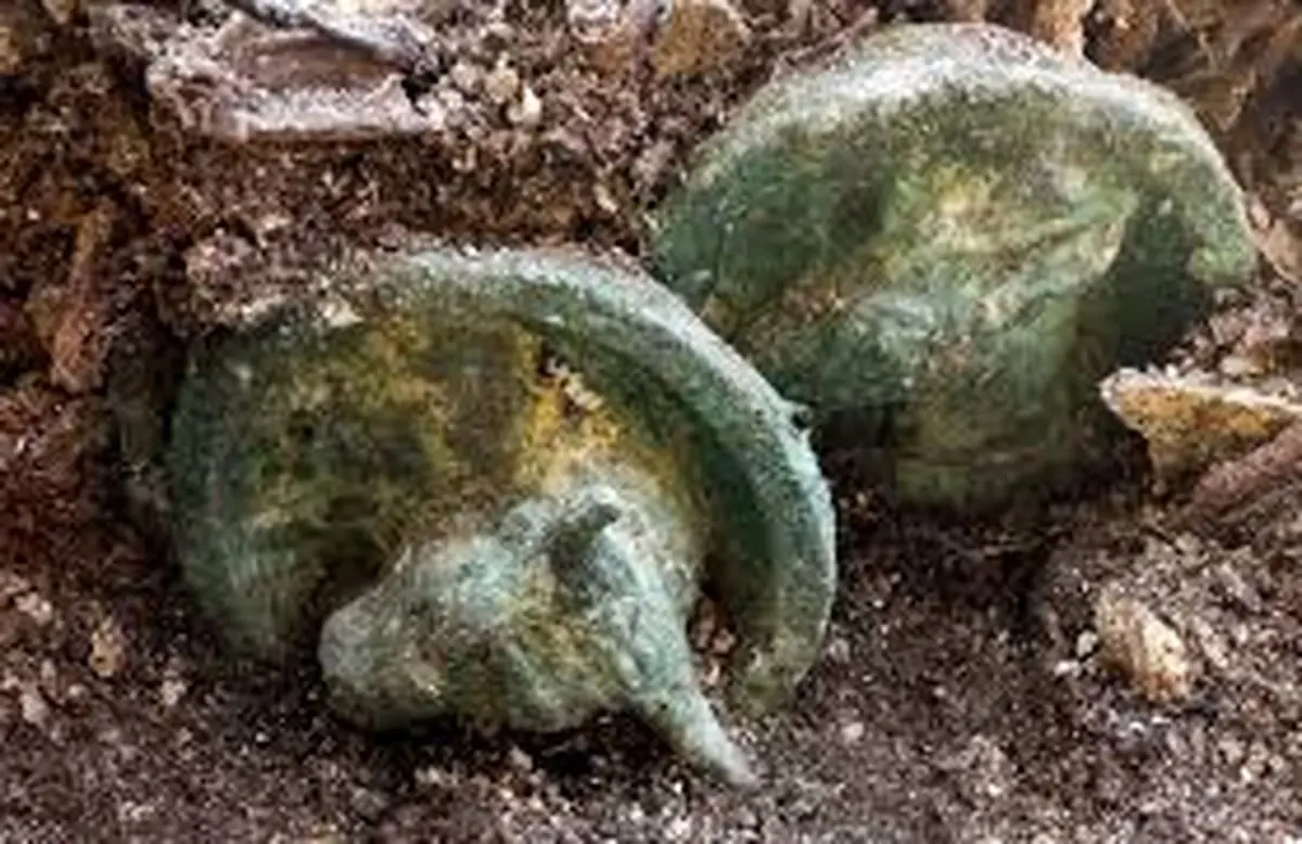 گاوهای 2700 ساله در اوکراین از زیر خاک بیرون آمدند 