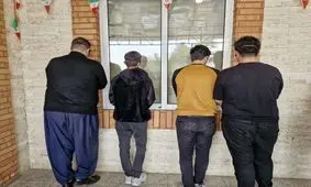 دستگیری ۱۰۰ نفر از اعضای شرکت‌های هرمی با تلاش پلیس