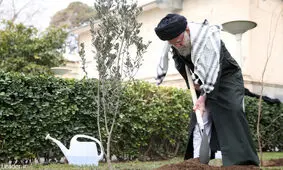 رهبر انقلاب 3 اصله نهال کاشتند

