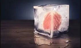 محققان چینی مغز منجمدشده انسان را دوباره زنده کردند

