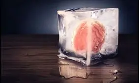 محققان چینی مغز منجمدشده انسان را دوباره زنده کردند

