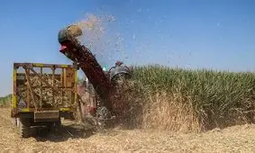 کار ویژه‌های نیشکر برای مدیریت بحران‌ها چه بود؟