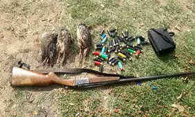 دستگیری ۶۵۰ متخلف شکار و صید در خراسان رضوی