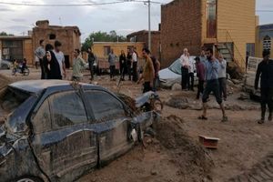 ۵۰ خانه و ۱۵ خودرو درگیر سیلاب در شهرستان زردین یزد