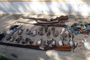 کشف ۳ قبضه سلاح شکاری غیر مجاز از سوی یگان حفاظت محیط زیست پارک ملی