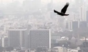 اعلام شرایط اضطرار از چند روز قبل/ این هوا کشنده است؛ استانداری تهران باید جوابگو باشد/ ویدئو