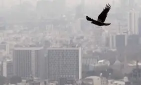 اعلام شرایط اضطرار از چند روز قبل/ این هوا کشنده است؛ استانداری تهران باید جوابگو باشد/ ویدئو