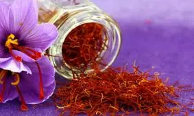 مراقب انتخابات"مهندسی شده"و "موروثی" باشیم/ 
انتخابات اتحادیه صادرکنندگان زعفران در پیش است/ انتخاب "افراد اصلح"، درمان درد لاعلاج "زعفران"/ حفظ میزو صندلی های قدرت به چه قیمتی؟