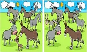 اگر بینایی خوبی دارید ۶ تفاوت دو تصویر را پیدا کنید!
