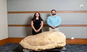 یک سفر ماهیگیری خانوادگی به کشف یک «هیولای» ۳۲ میلیون ساله انجامید!/ تصاویر

