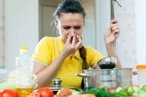 سریع ترین روش ها جهت رفع بوی بد غذا از خانه