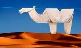 خلاقیت هنرمندی که «لباس‌های روی بند» را به تصاویر بامزه تبدیل می‌کند