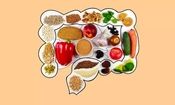 تأثیر رژیم غذایی پرچرب بر سلامت سیستم ایمنی روده