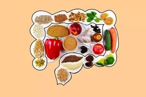 تأثیر رژیم غذایی پرچرب بر سلامت سیستم ایمنی روده