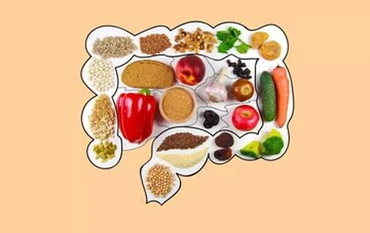 تأثیر رژیم غذایی پرچرب بر سلامت سیستم ایمنی روده
