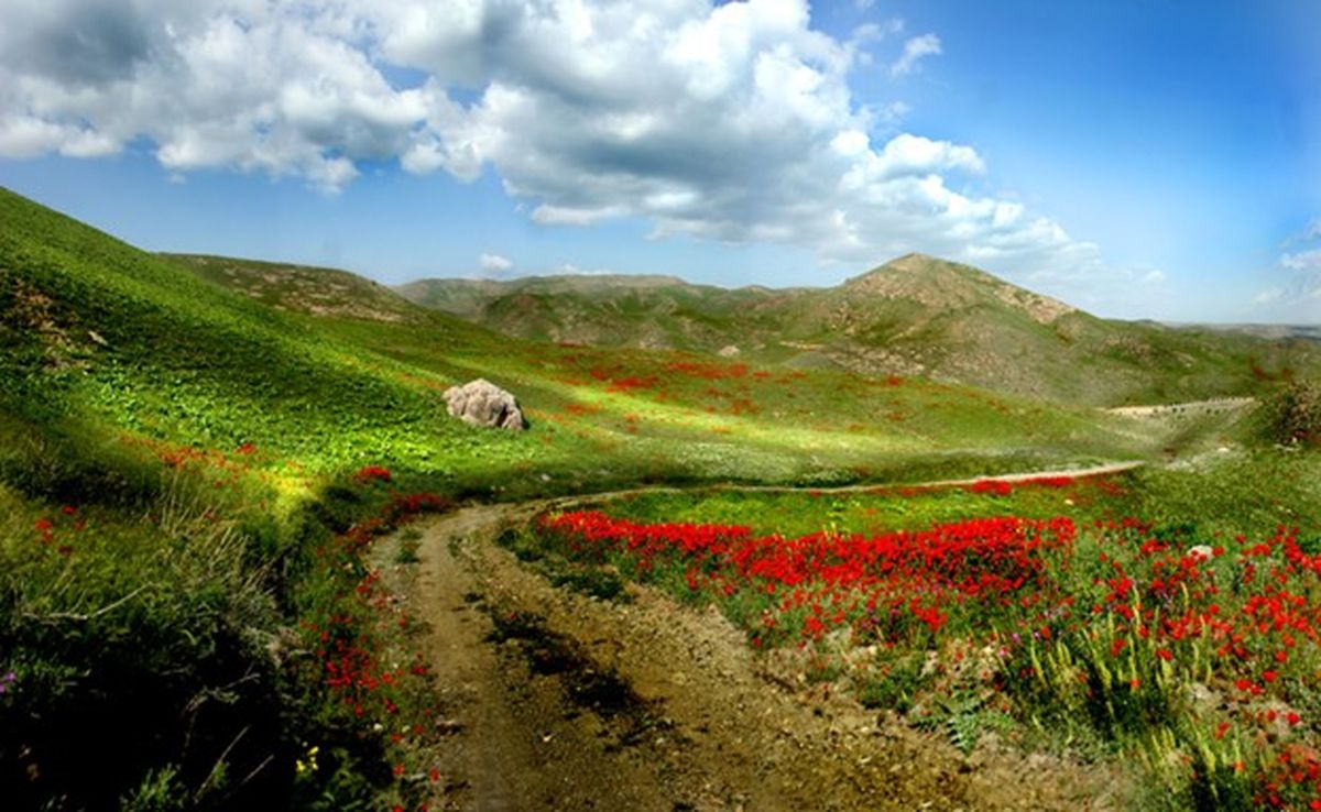 اطراف مشهد کجا بریم؛ سفر هوایی و زمینی به مشهد