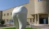 حادثه دانشکده دندانپزشکی قزوین ارتباطی با محیط آموزشی ندارد/ تعداد کشته‌ های دانشگاه علوم پزشکی قزوین به دو نفر رسید