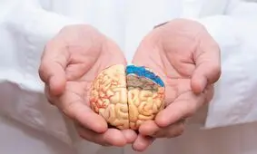 کمبود این ویتامین مغز را کوچک و حافظه را نابود می‌کند