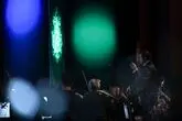 هری پاتر خبر فوری