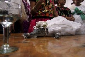 ازدواج شهردار مکزیکی با تمساح ۷ ساله به منظور درخواست برکت و نعمت برای روستا