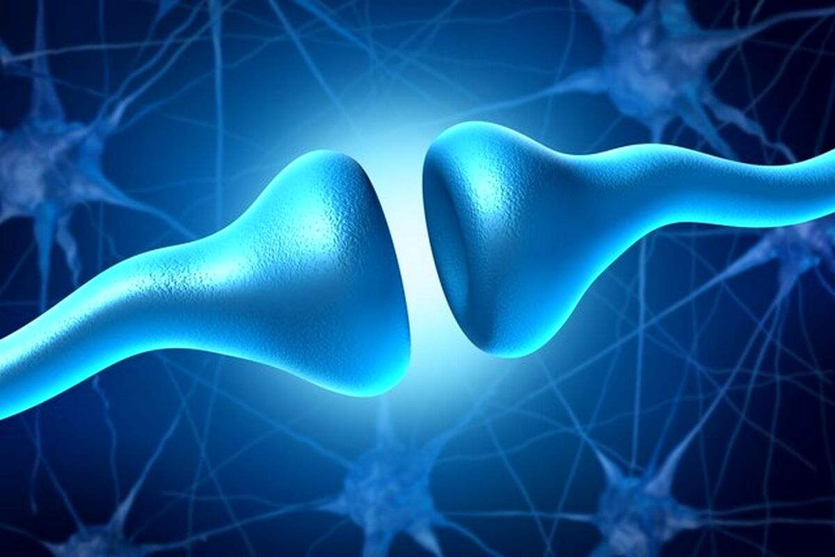 چرا بیتفاوتی اولین علامت آلزایمر است؟