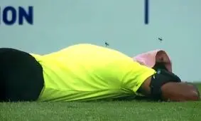 اتفاق عجیب در فوتبال هند؛ حمله زنبورها باعث فرار هواداران و از پای در آمدن داور شد/ ویدئو

