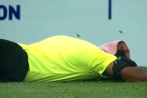 اتفاق عجیب در فوتبال هند؛ حمله زنبورها باعث فرار هواداران و از پای در آمدن داور شد/ ویدئو

