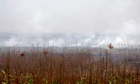 تصمیم‌گیری برای نجات تالاب هورالعظیم/ بررسی راهکارهای فوری در هیئت دولت/ حل بحران زیست‌محیطی در دستور کار ملی