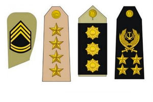 ریشه یابی واژه «تیمسار» و جایگزینی با «امیر» و «سردار»