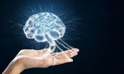 آیا مغز انسان «قدرت پیش بینی» دارد؟