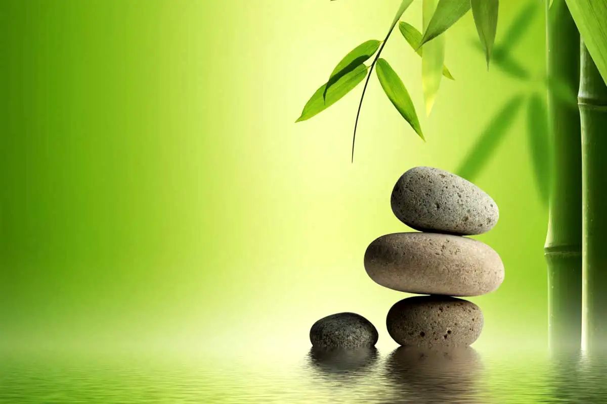 رازهای فنگ شویی در زندگی مدرن