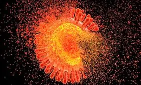 کشف اثربخشی ۱۰۰ درصدی یک دارو در پیشگیری از اچ‌آی‌وی
