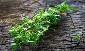 مهمترین خواص مرزه برای پوست، گوارش و کاهش التهاب