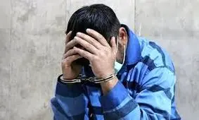 دستگیری همدستان سابق قاتلان امیرمحمد خالقی به جرم سرقت‌های خشن 