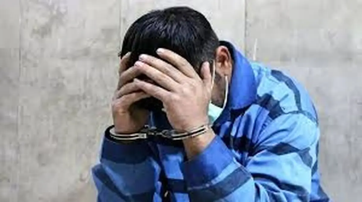 دستگیری همدستان سابق قاتلان امیرمحمد خالقی به جرم سرقت‌های خشن 