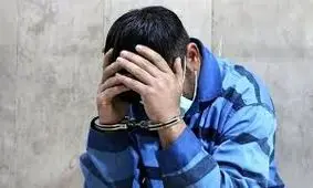 دستگیری همدستان سابق قاتلان امیرمحمد خالقی به جرم سرقت‌های خشن 