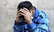 دستگیری همدستان سابق قاتلان امیرمحمد خالقی به جرم سرقت‌های خشن 