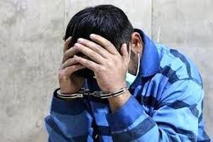 دستگیری همدستان سابق قاتلان امیرمحمد خالقی به جرم سرقت‌های خشن 