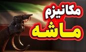 مکانیزم ماشه بیشتر جنبه روانی دارد