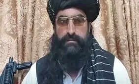 نور ولی محسود: من در مناطق قبایلی و زنده هستم/ ویدئو
