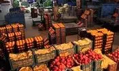 آغاز توزیع گسترده میوه شب عید/ افزایش سه برابری مراکز عرضه 