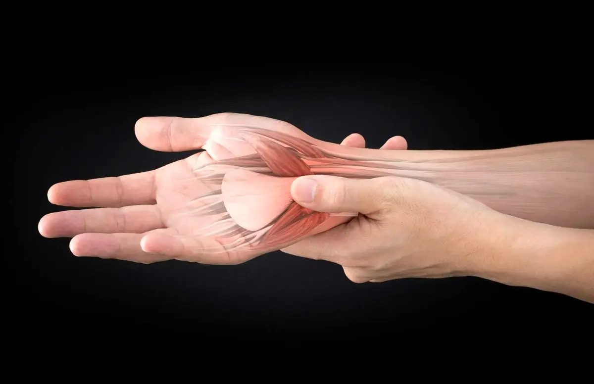 تاندون چطور آسیب می‌بینند؟