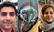 گزارشی از یک خانواده ۴ نفره که ۳ نفرشان در حمله اسرائیل به شهادت رسیدند/ دکتر زهره رسولی که بود؟

