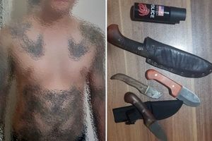 اراذل پارک ارم دستگیر شدند/ پایان فرار اوباشی که نزاع خونین راه انداختند