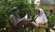 تصاویر تازه از حال‌وهوای پشت صحنه بامداد خمار