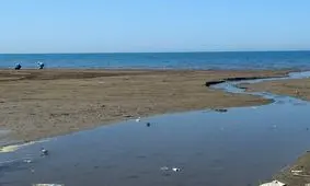 شرنگ شیرابه در کام خزر/ میلیون‌ها مسافر به شوق شنا از راه می‌رسند