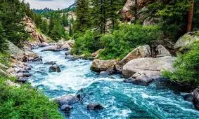 رودخانه های زمین چقدر آب دارند؟