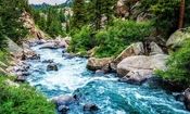 رودخانه های زمین چقدر آب دارند؟