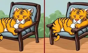 سه تفاوت این دو تصویر را در کمتر از 9 ثانیه پیدا کنید