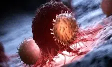 کشف پروتئینی که رشد سرطان را کُند می‌کند

